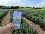 How did our Quercy farm ended up producing essential oils?