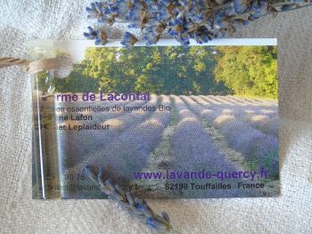Fine lavender card