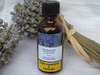 Organic lavandin essential oil 50 ml dropper