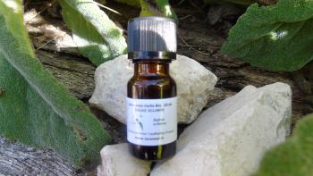 Organic Clary Sage essential oil cultivated and distilled on the farm