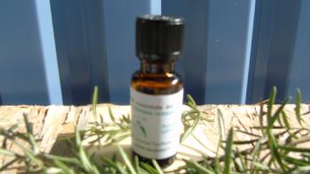 Organic rosemary ct verbenone essential oil cultivated and distilled on the farm
