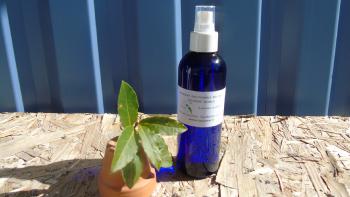 Bay leaves - Hydrolat organic 200 ml Spray