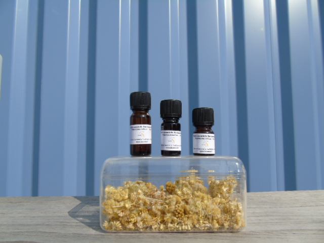 Organic everlasting italicum helichrysum essential oil