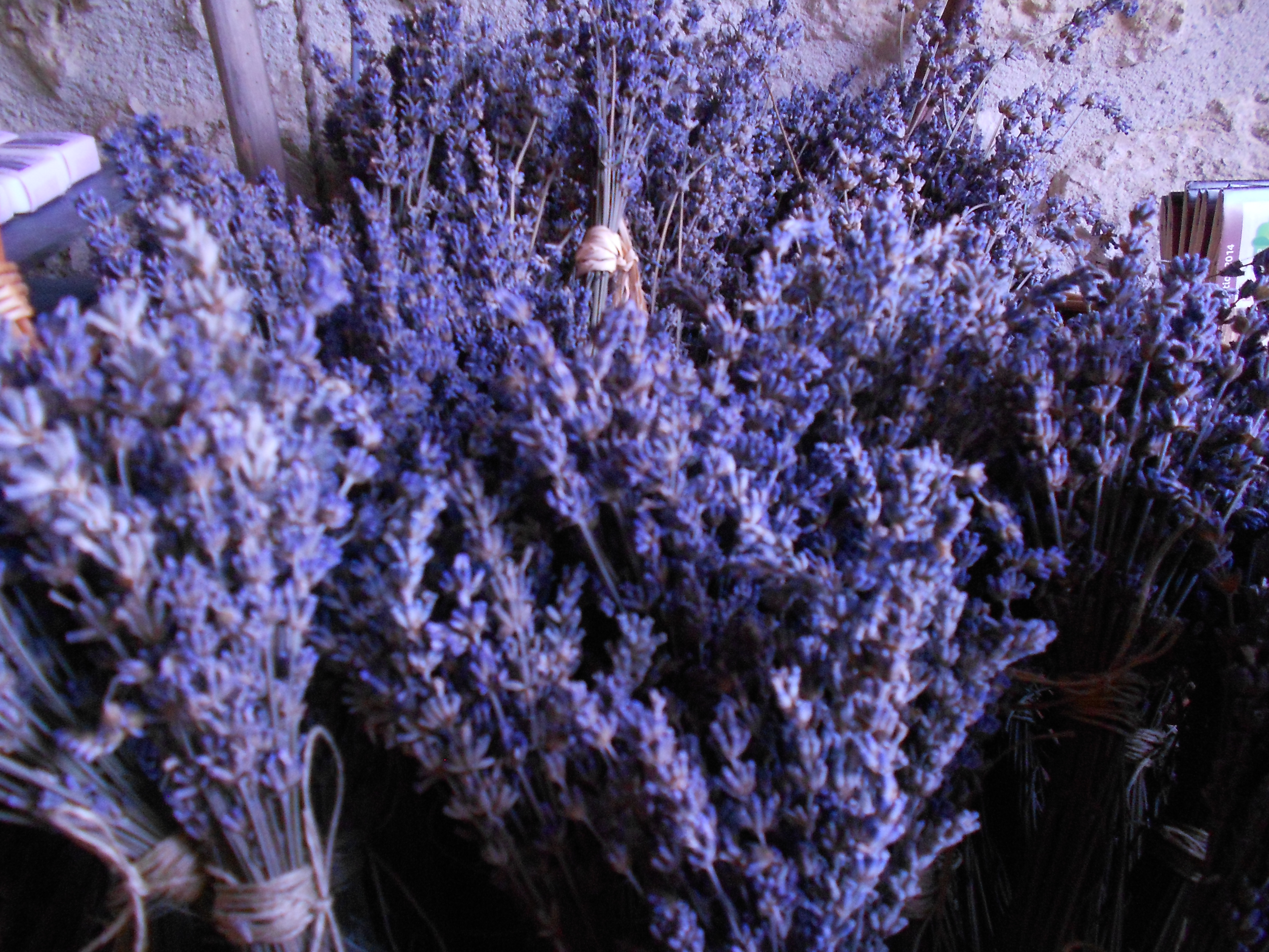 Organic lavender