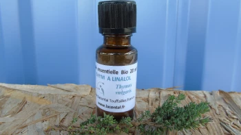 Huile essentielle bio de thym linalol cultivé et distillé à la ferme