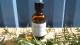 Rosemary CT verbenone - Organic essential oil - 50ml dropper