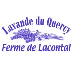 Huile essentielle lavande officinale sélection classique bio 50 ml  vaporisateur Ferme de Lacontal HEC-50-VAPO : Lavande du Quercy - Boutique  en ligne de la Ferme de Lacontal